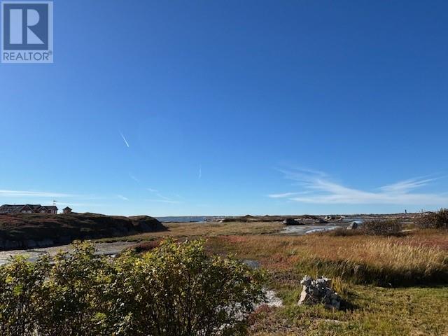 6 Blackmores Lane, New Wes Valley, Newfoundland & Labrador  A0G 3L0 - Photo 33 - 1293970