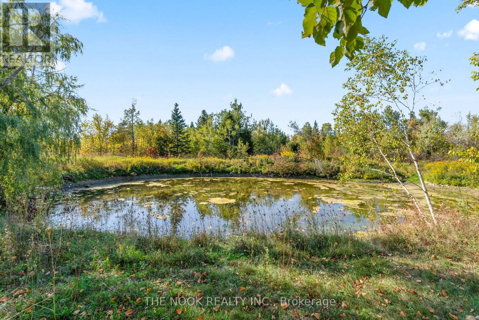 46 Mcguire Beach Road, Kawartha Lakes, Ontario  K0M 2B0 - Photo 26 - X12716380