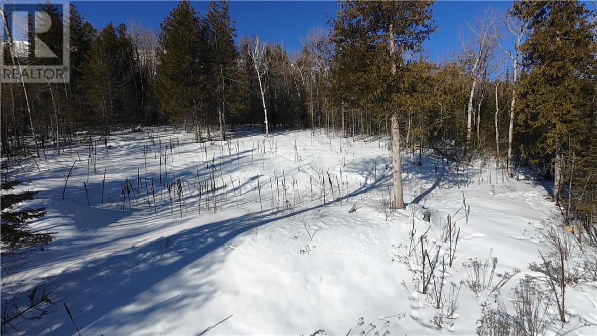 503 Lighthouse Road, Gore Bay, Ontario  P0P 1H0 - Photo 14 - 2126143