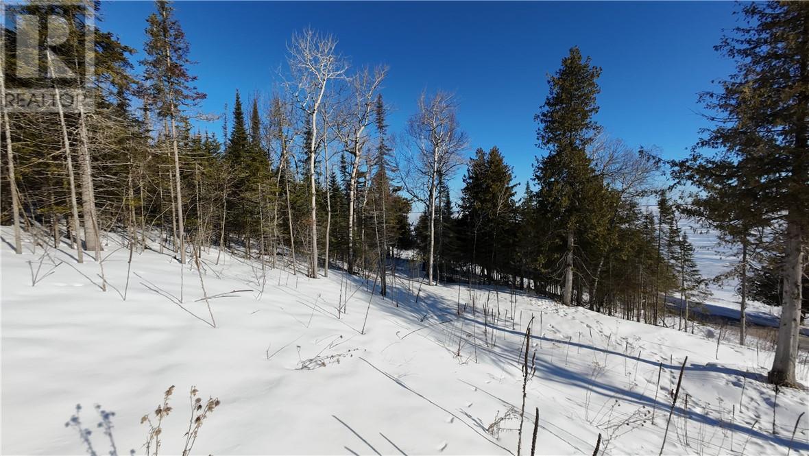 503 Lighthouse Road, Gore Bay, Ontario  P0P 1H0 - Photo 3 - 2126143