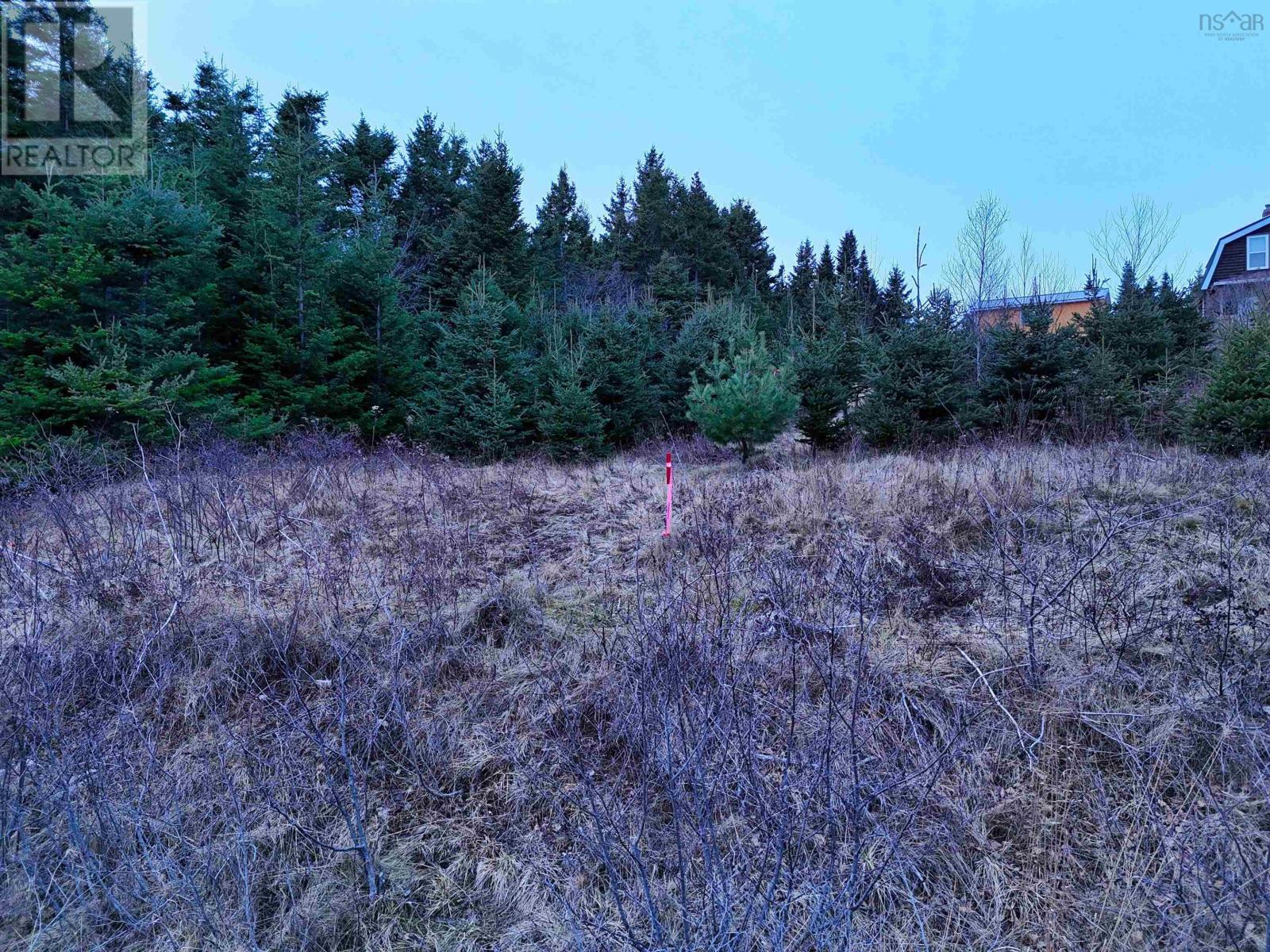 Lot 25-1 Corbetts Cove Road, Corbetts Cove, Nova Scotia  B0E 3B0 - Photo 8 - 202601197