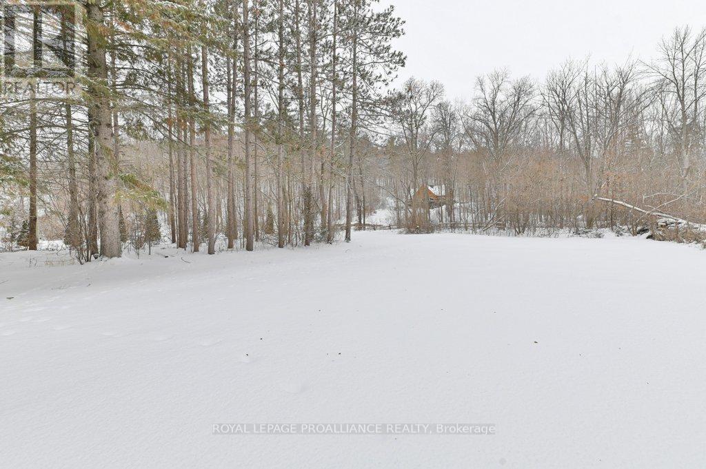 556 Rosebush Road, Quinte West, Ontario  K0K 2C0 - Photo 32 - X12716636