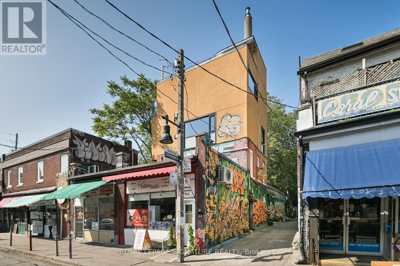 Main - 6 Littlehayes Lane, Toronto, Ontario  M5T 1L8 - Photo 15 - C12717034