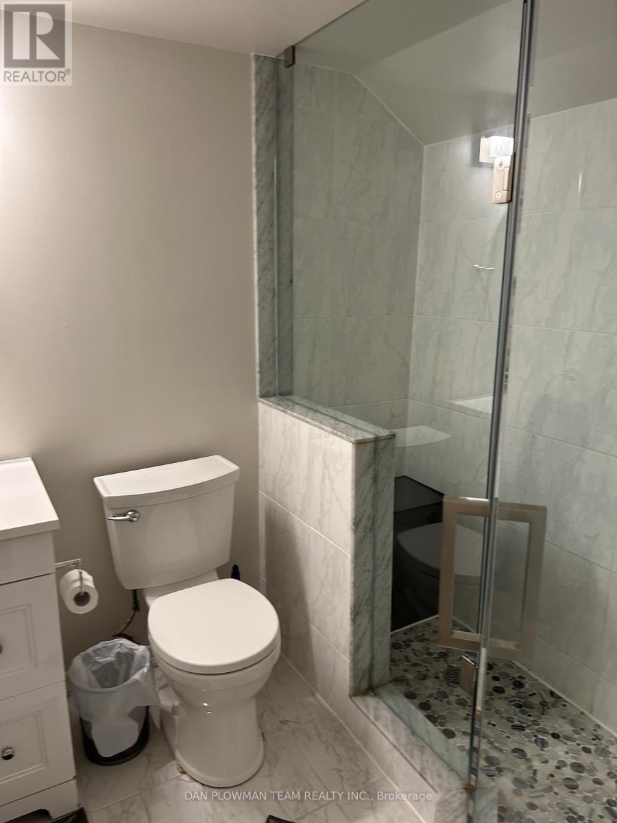 Basement - 28 Sheldon Drive, Ajax, Ontario  L1T 0L9 - Photo 24 - E12716832