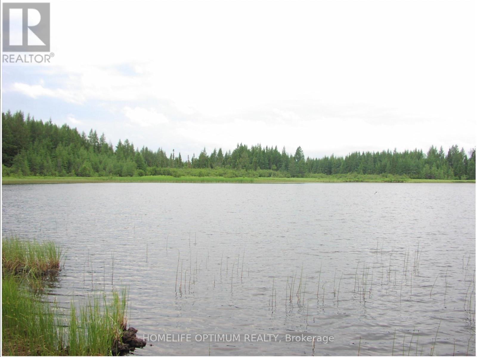 Pcl 1138 Near Mobbs Lake, Black River-Matheson, Ontario  P0K 1R0 - Photo 10 - T12716998