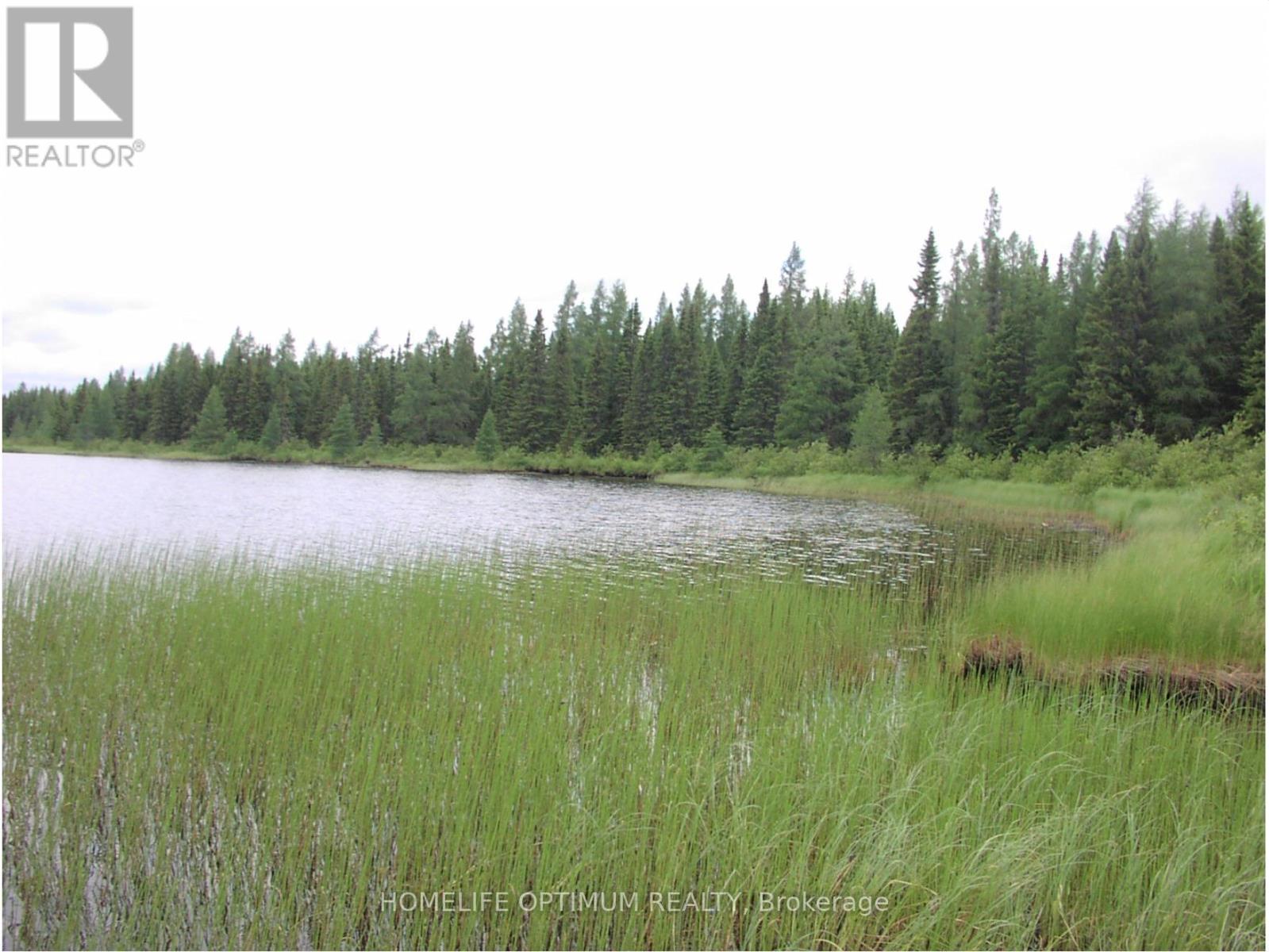 Pcl 1138 Near Mobbs Lake, Black River-Matheson, Ontario  P0K 1R0 - Photo 12 - T12716998