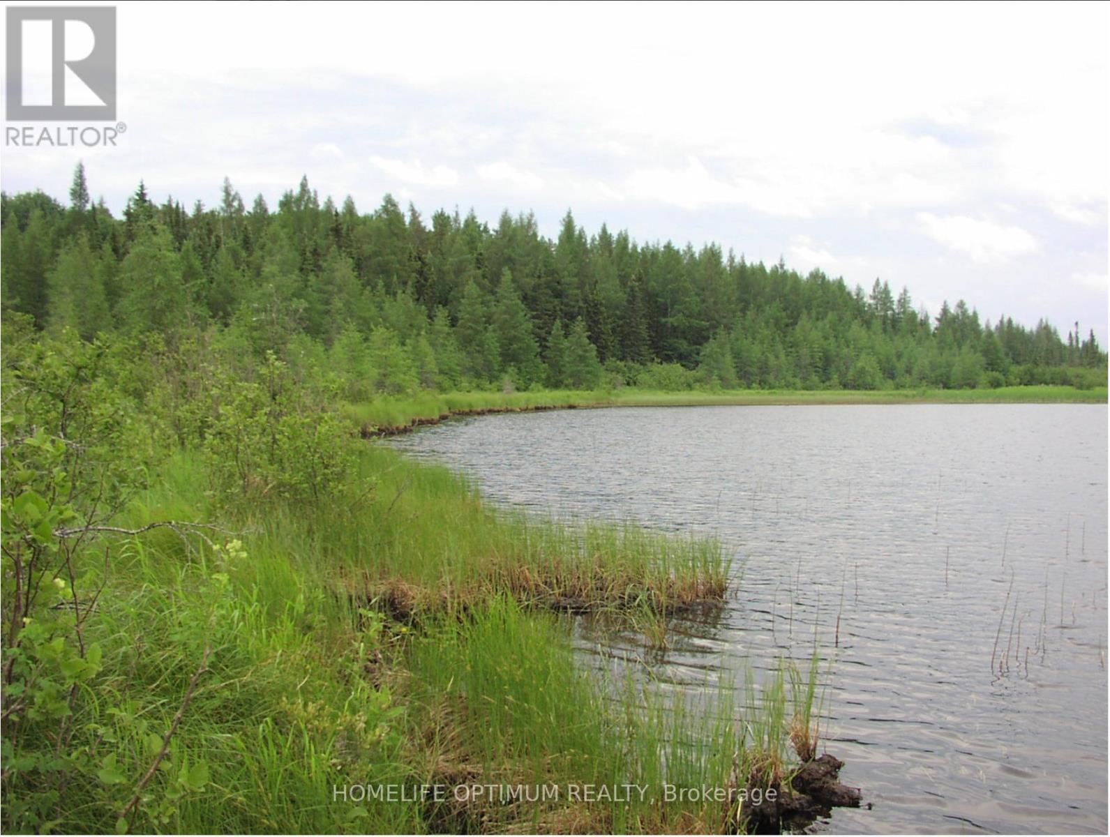 Pcl 1138 Near Mobbs Lake, Black River-Matheson, Ontario  P0K 1R0 - Photo 14 - T12716998