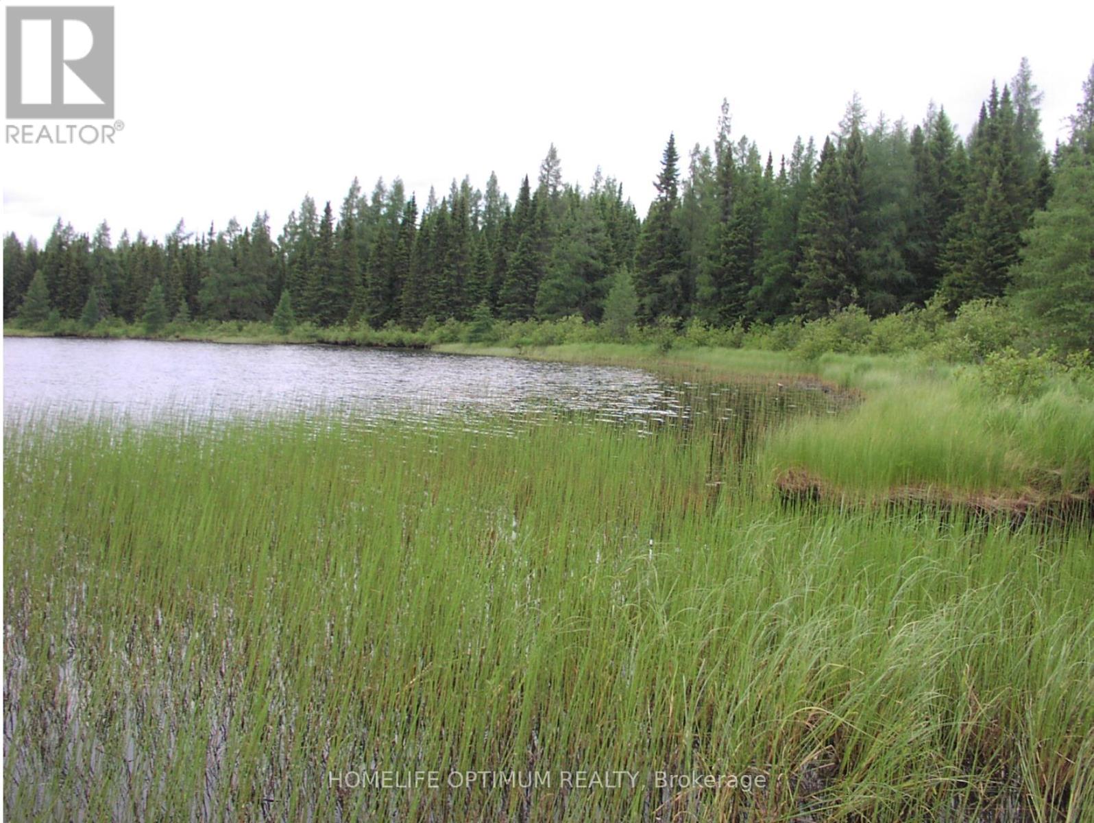Pcl 1138 Near Mobbs Lake, Black River-Matheson, Ontario  P0K 1R0 - Photo 15 - T12716998