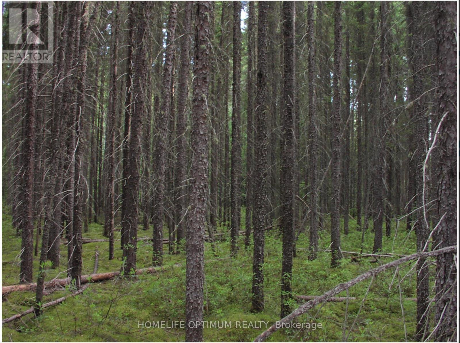 Pcl 1138 Near Mobbs Lake, Black River-Matheson, Ontario  P0K 1R0 - Photo 2 - T12716998
