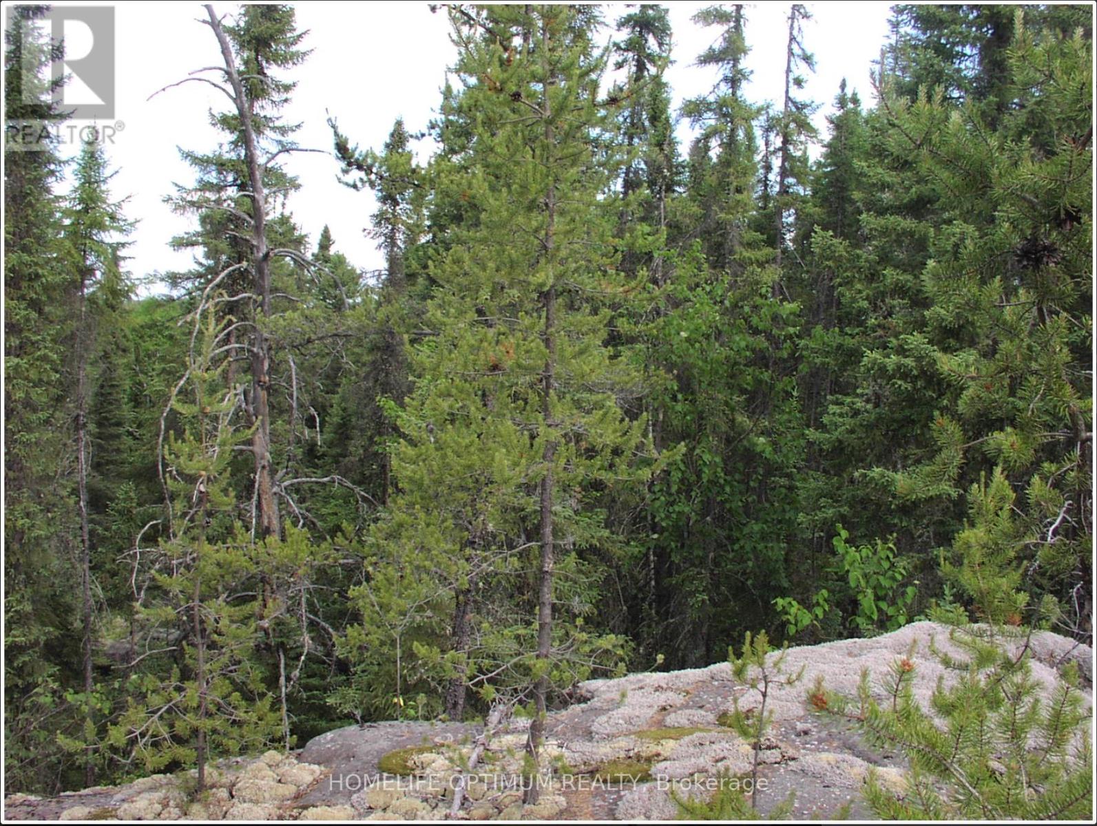 Pcl 1138 Near Mobbs Lake, Black River-Matheson, Ontario  P0K 1R0 - Photo 5 - T12716998