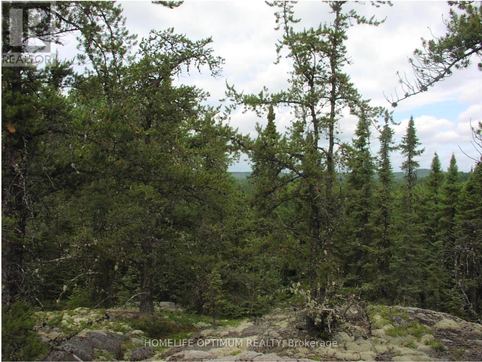 Pcl 1138 Near Mobbs Lake, Black River-Matheson, Ontario  P0K 1R0 - Photo 8 - T12716998