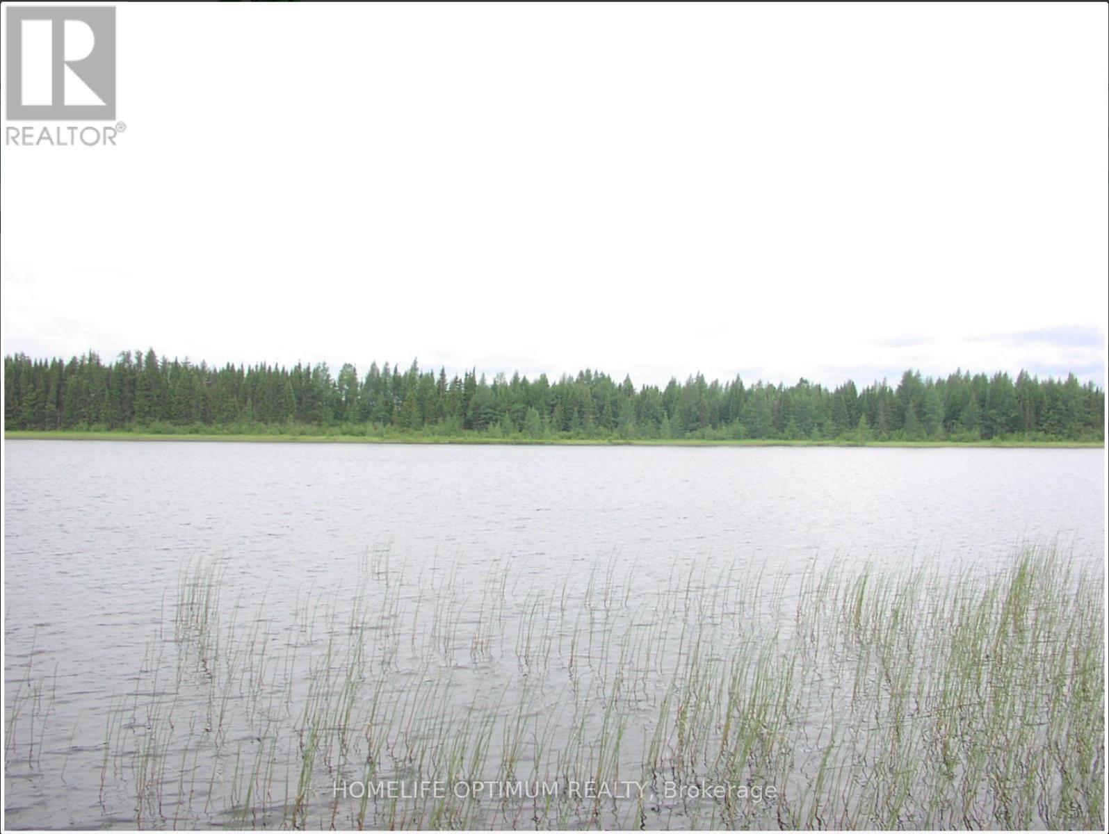 Pcl 1138 Near Mobbs Lake, Black River-Matheson, Ontario  P0K 1R0 - Photo 11 - T12717004