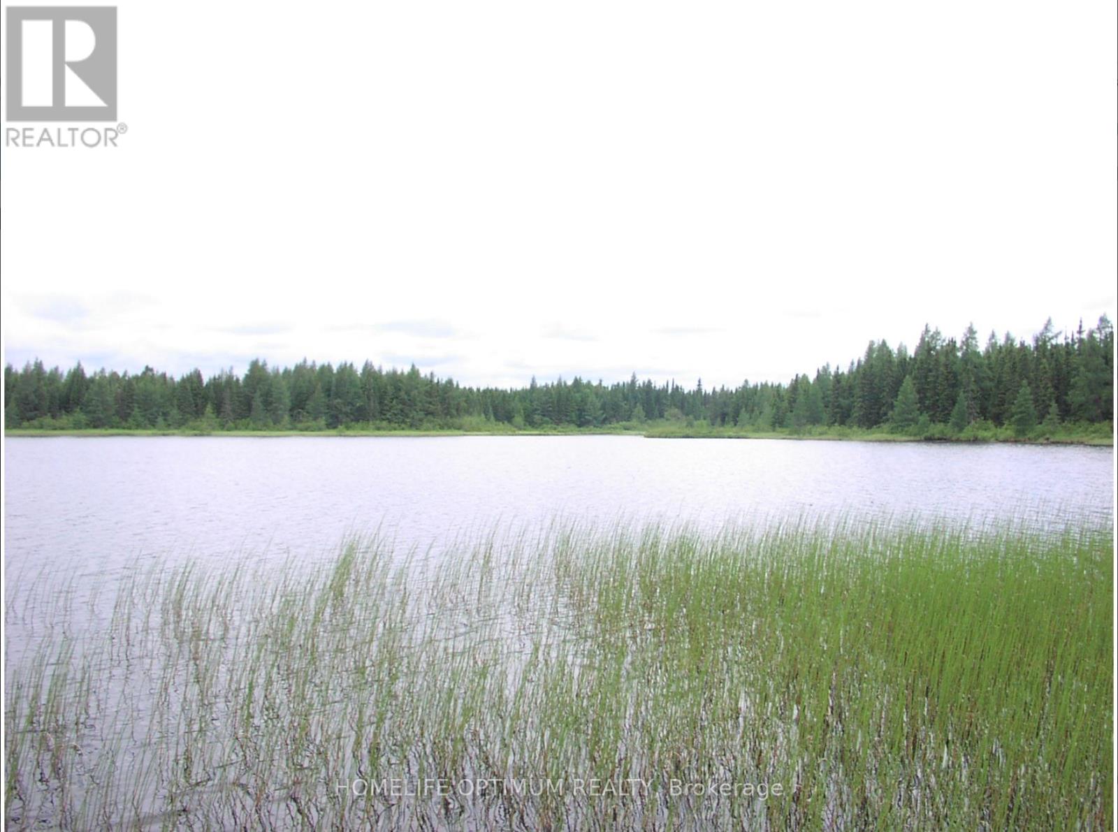 Pcl 1138 Near Mobbs Lake, Black River-Matheson, Ontario  P0K 1R0 - Photo 13 - T12717004