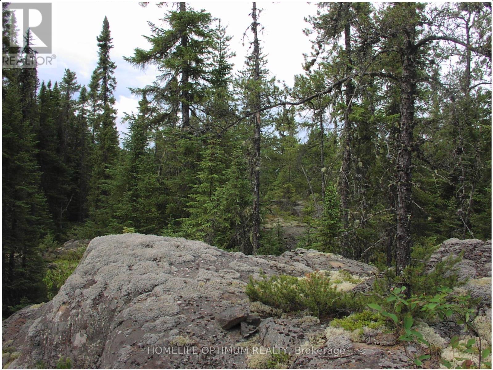 Pcl 1138 Near Mobbs Lake, Black River-Matheson, Ontario  P0K 1R0 - Photo 2 - T12717004