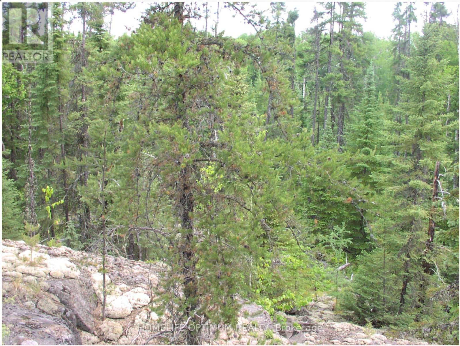 Pcl 1138 Near Mobbs Lake, Black River-Matheson, Ontario  P0K 1R0 - Photo 3 - T12717004