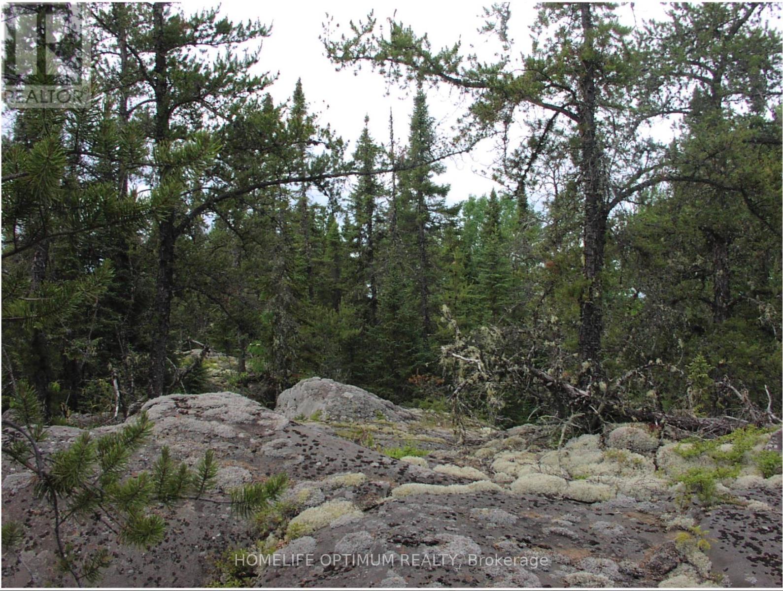 Pcl 1138 Near Mobbs Lake, Black River-Matheson, Ontario  P0K 1R0 - Photo 6 - T12717004