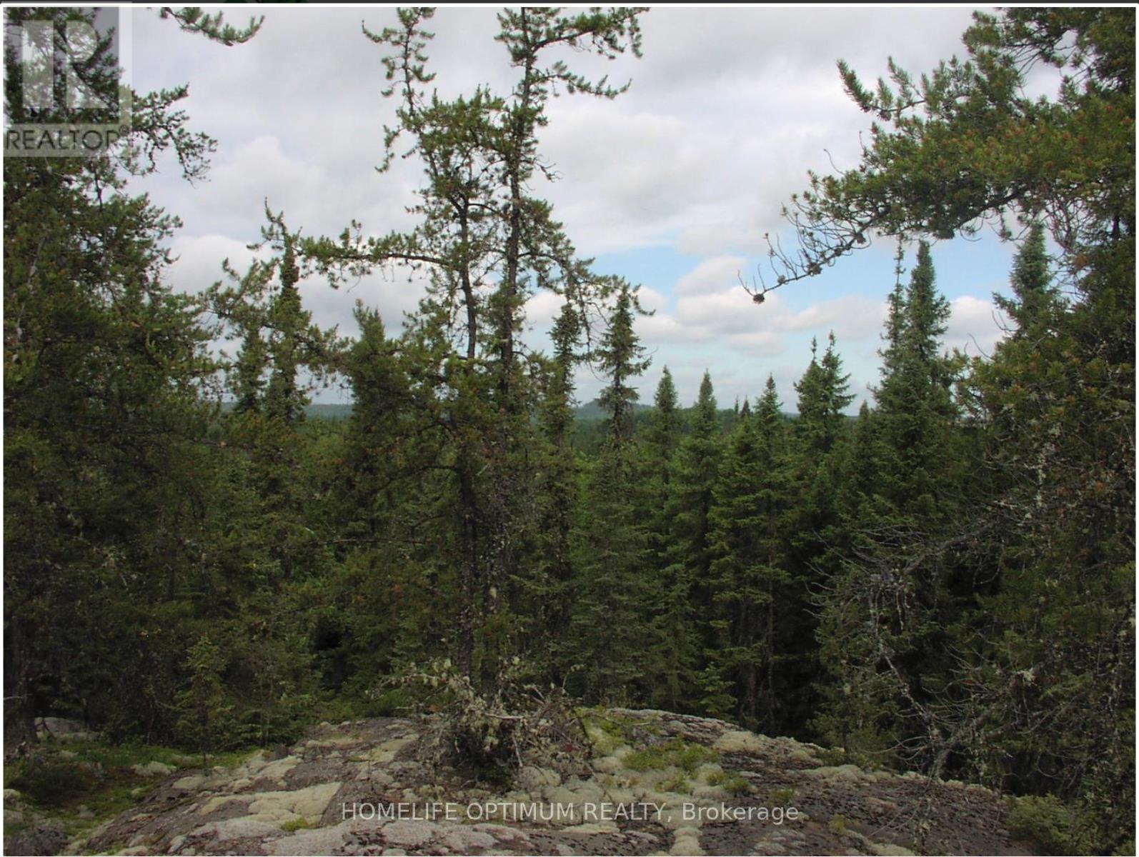 Pcl 1138 Near Mobbs Lake, Black River-Matheson, Ontario  P0K 1R0 - Photo 7 - T12717004