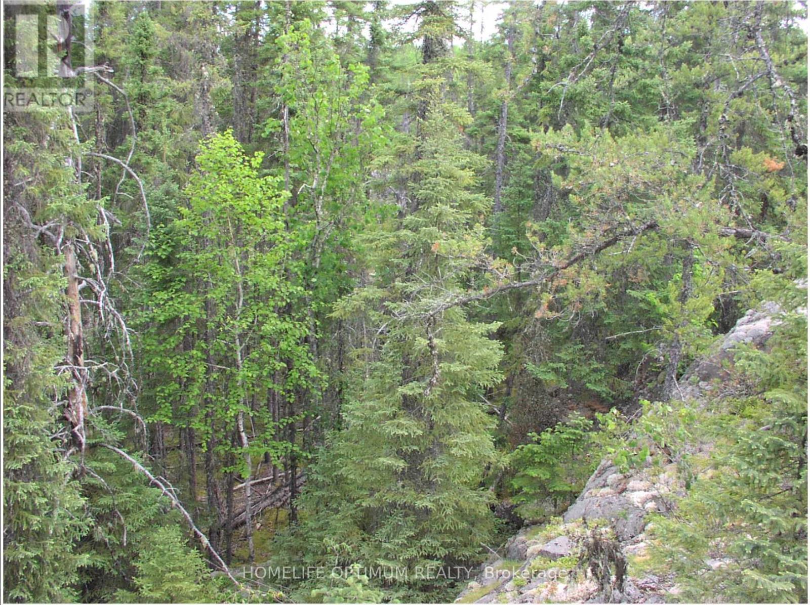 Pcl 1138 Near Mobbs Lake, Black River-Matheson, Ontario  P0K 1R0 - Photo 9 - T12717004