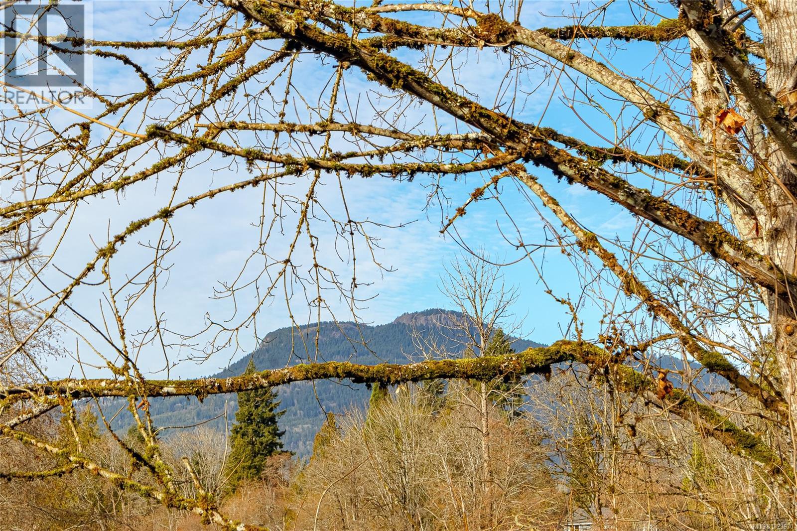 2857 Philip St, Duncan, British Columbia  V9L 2A5 - Photo 36 - 1023630