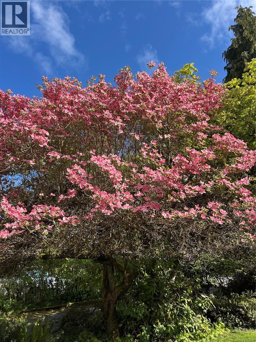 2857 Philip St, Duncan, British Columbia  V9L 2A5 - Photo 9 - 1023630