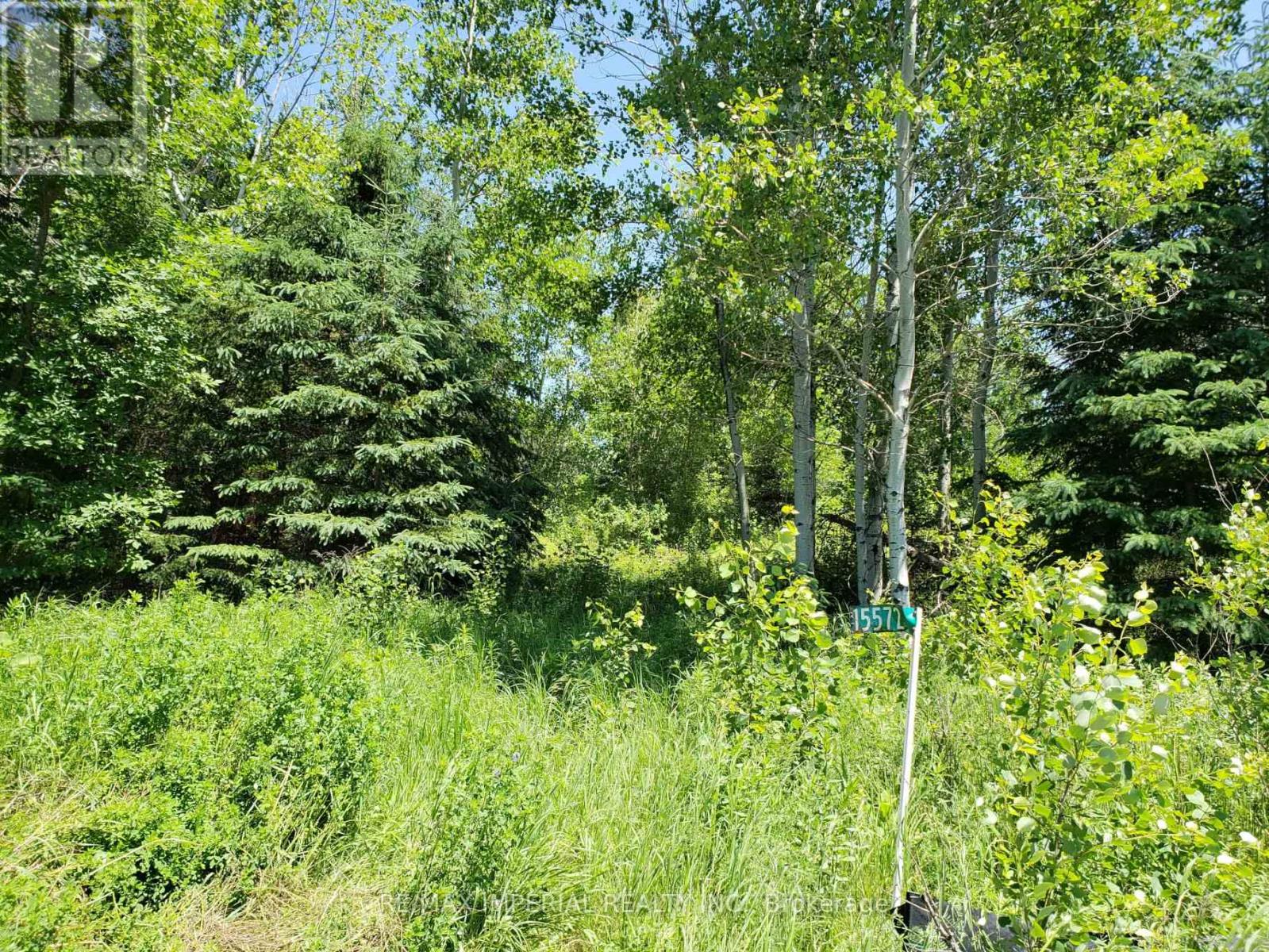 15572 Highway 17, Whitewater Region, Ontario  K0J 1Y0 - Photo 3 - X12716938