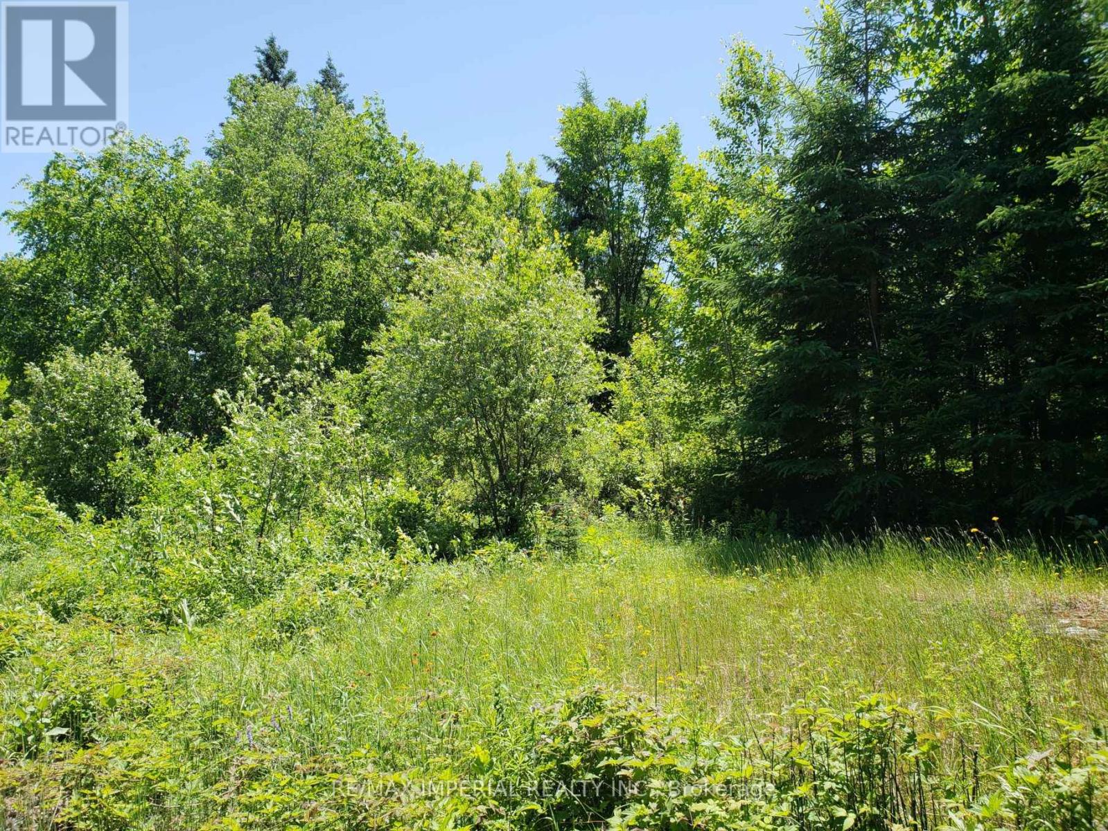 15572 Highway 17, Whitewater Region, Ontario  K0J 1Y0 - Photo 5 - X12716938