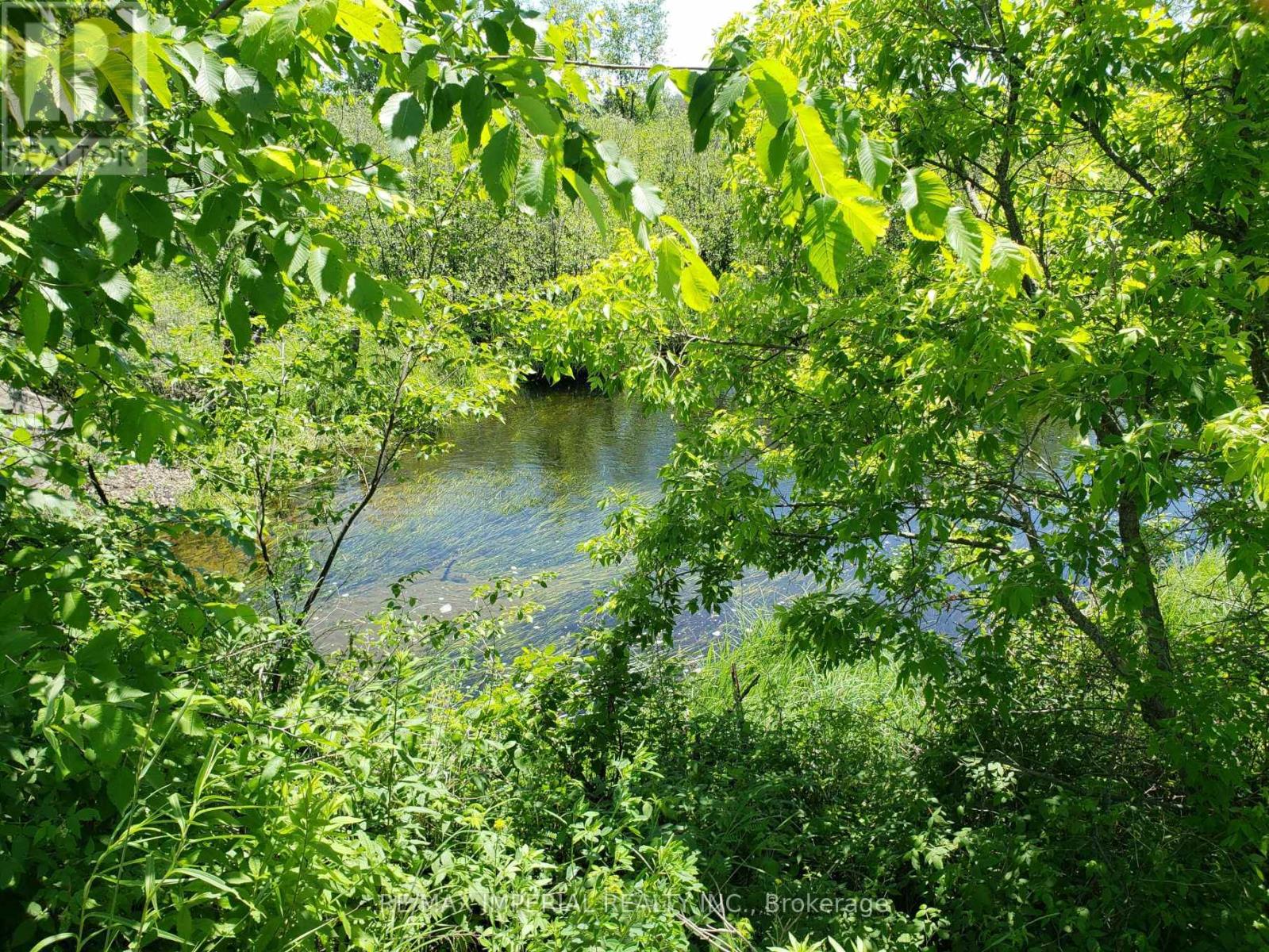 15572 Highway 17, Whitewater Region, Ontario  K0J 1Y0 - Photo 6 - X12716938