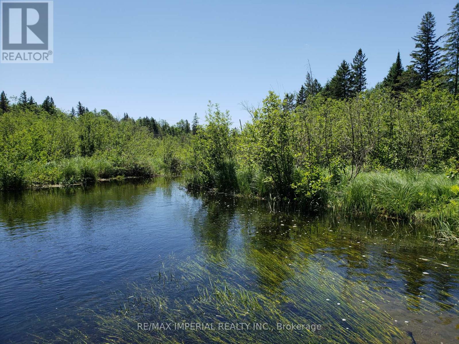 15572 Highway 17, Whitewater Region, Ontario  K0J 1Y0 - Photo 8 - X12716938