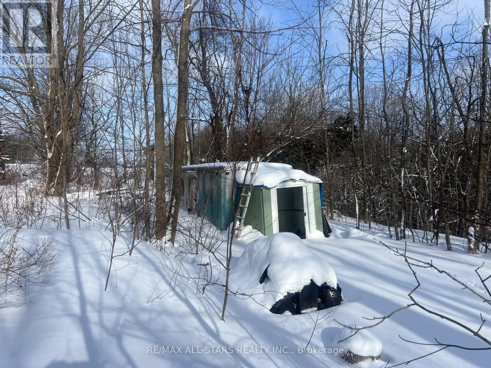 716287 1st Line E, Mulmur, Ontario  L9V 0E9 - Photo 18 - X12717152