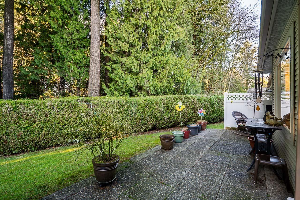 314 20655 88 Avenue, Surrey, British Columbia  V1M 2M5 - Photo 18 - R3081132