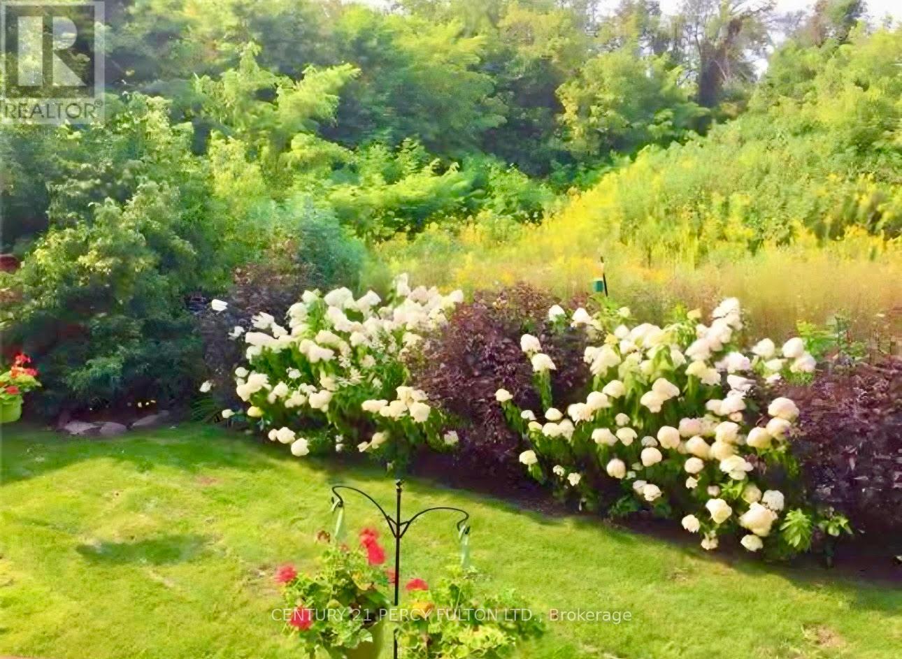 117 Maroon Drive, Richmond Hill (Oak Ridges Lake Wilcox), Ontario  L4E 5B7 - Photo 48 - N12717288