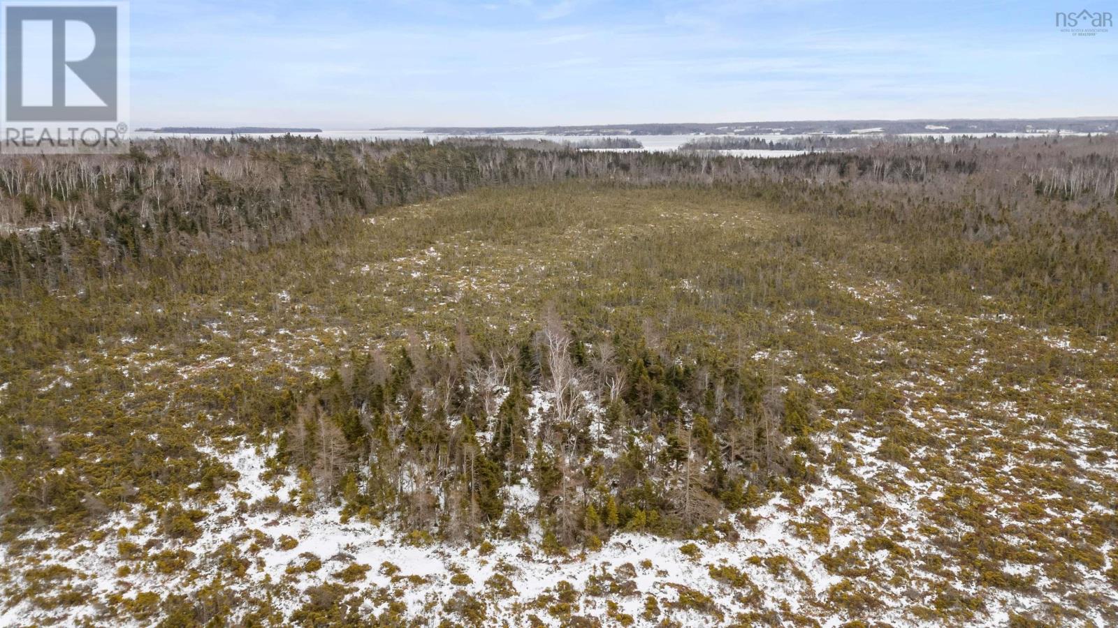 Lot 62 Acres Caribou Island Rd, Caribou Island, Nova Scotia  B0K 1H0 - Photo 19 - 202601238