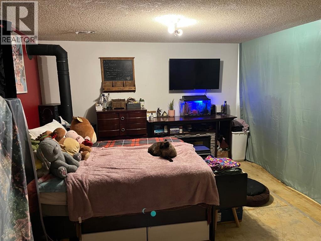 4833 47 Street, Rocky Mountain House, Alberta  T4T 1A6 - Photo 14 - A2279708