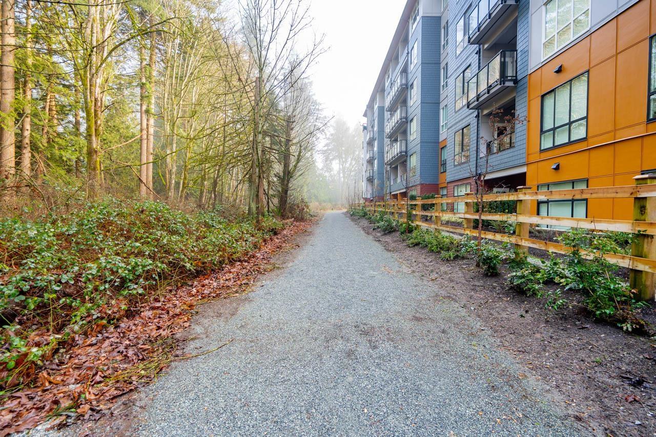 208 3528 146a Street, Surrey, British Columbia  V4P 0H4 - Photo 25 - R3081198