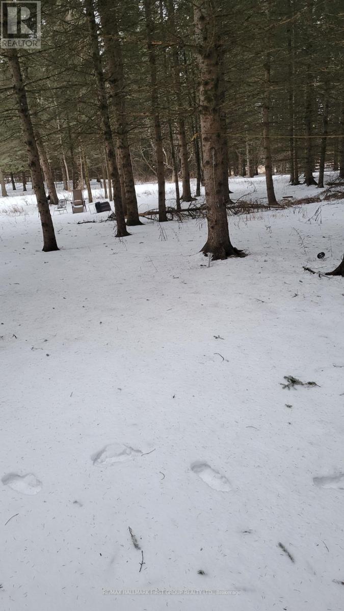 8 St. Marks Road, Stirling-Rawdon, Ontario  K0K 2M0 - Photo 25 - X12665330