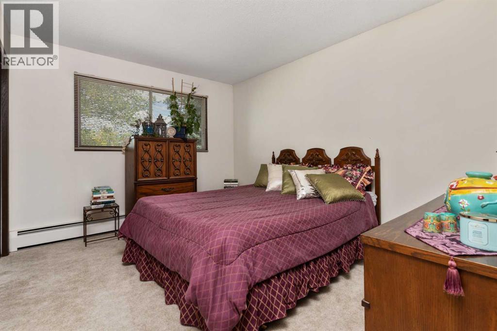 3810 64 Street, Camrose, Alberta  T4V 2Z2 - Photo 25 - A2279885