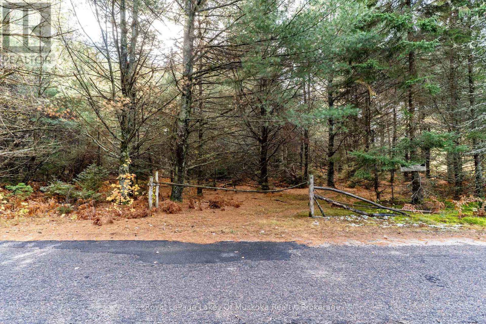 267 & 321 Cardwell Lake Road, Huntsville, Ontario P0B 1M0 - Photo 10 - X12717688