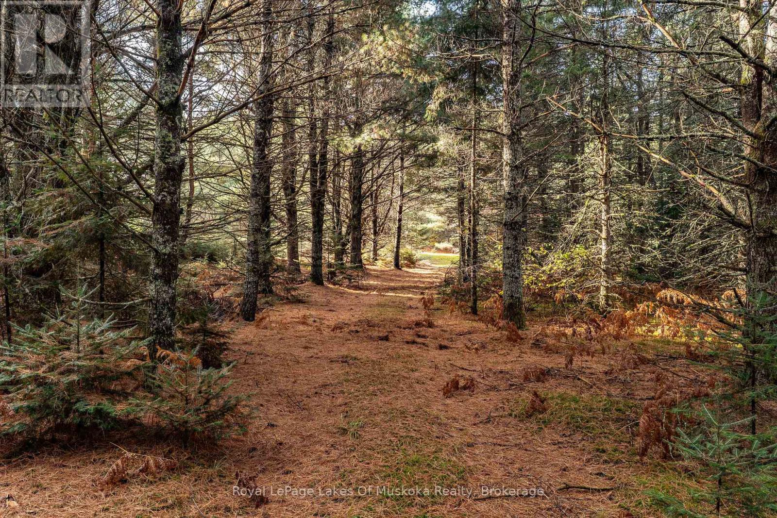 267 & 321 Cardwell Lake Road, Huntsville, Ontario P0B 1M0 - Photo 12 - X12717688