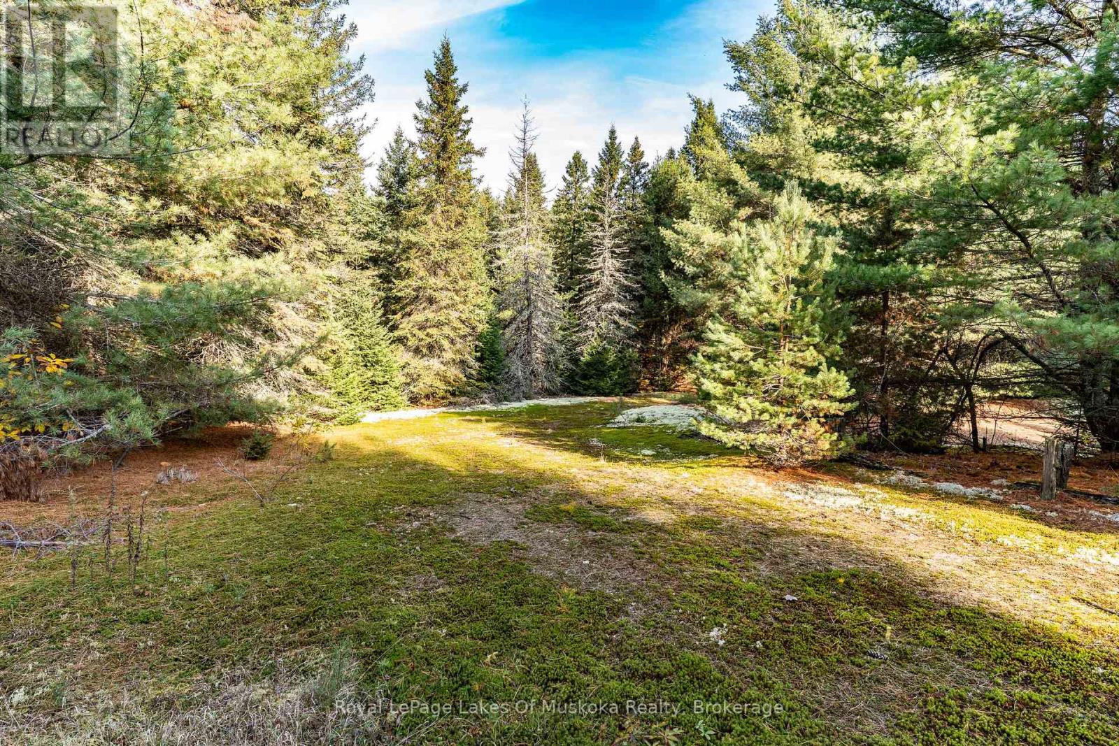 267 & 321 Cardwell Lake Road, Huntsville, Ontario P0B 1M0 - Photo 15 - X12717688