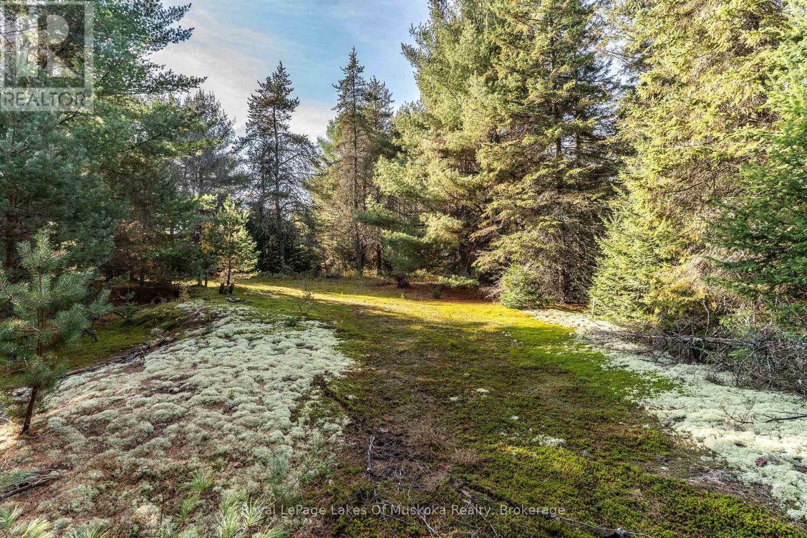 267 & 321 Cardwell Lake Road, Huntsville, Ontario P0B 1M0 - Photo 16 - X12717688