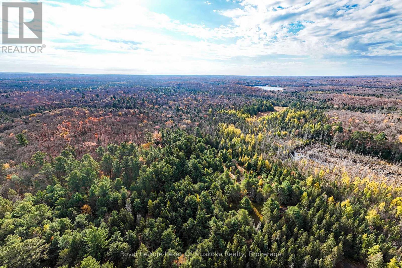 267 & 321 Cardwell Lake Road, Huntsville, Ontario P0B 1M0 - Photo 3 - X12717688