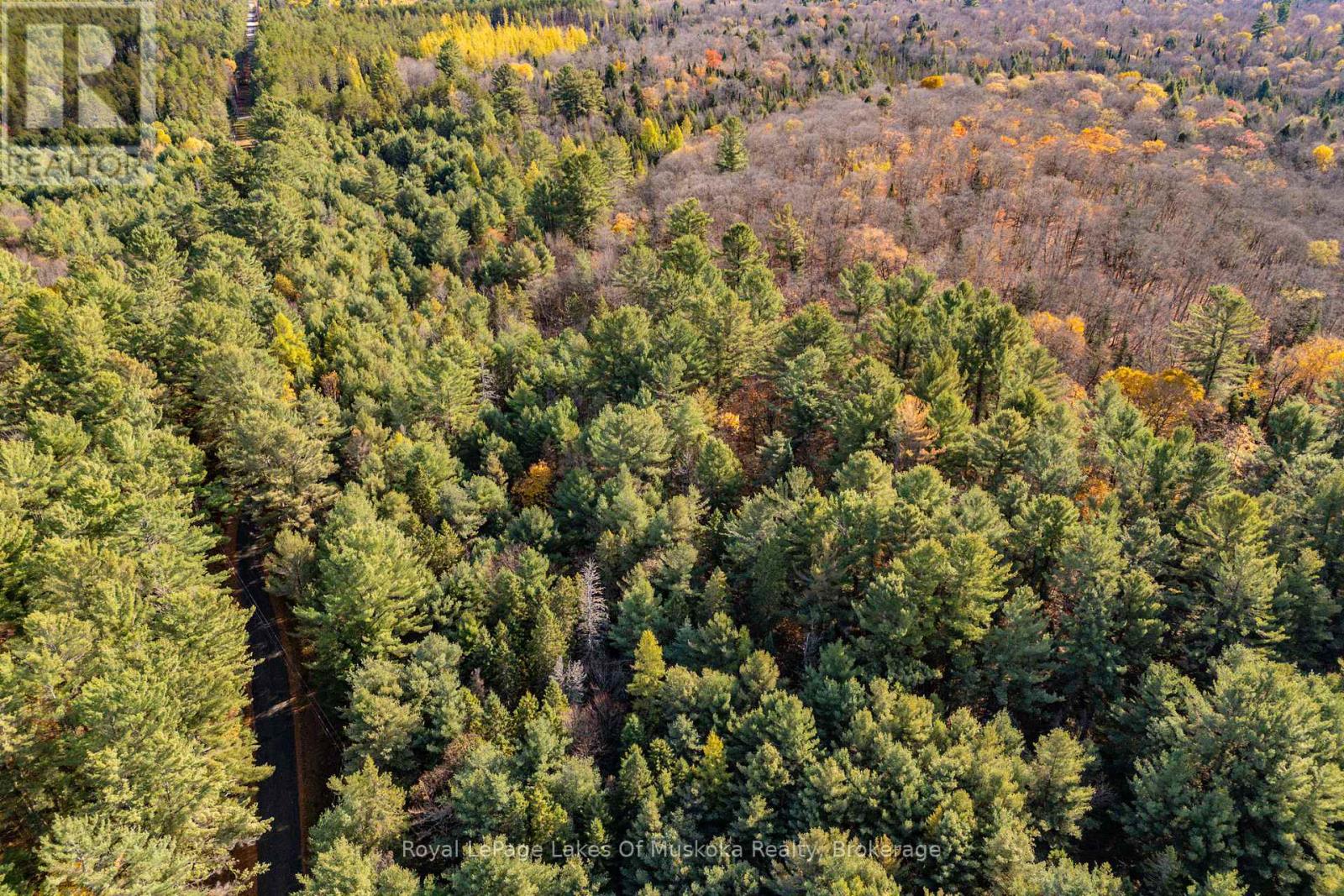 267 & 321 Cardwell Lake Road, Huntsville, Ontario P0B 1M0 - Photo 5 - X12717688