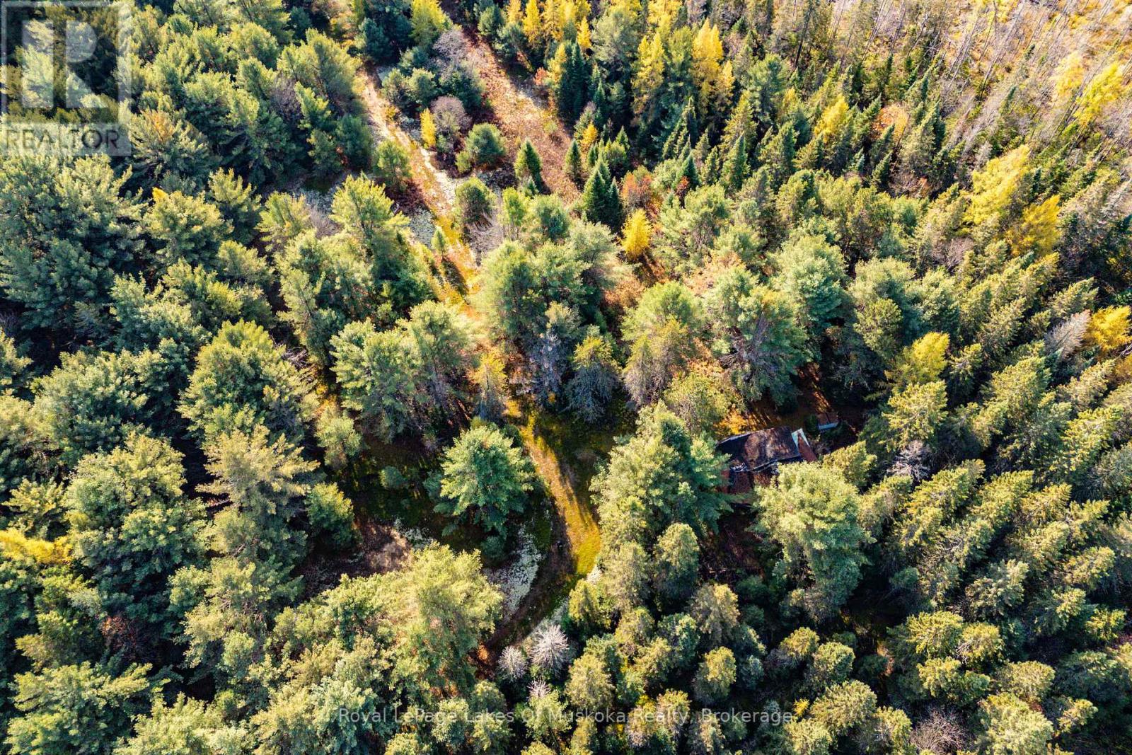 267 & 321 Cardwell Lake Road, Huntsville, Ontario P0B 1M0 - Photo 8 - X12717688