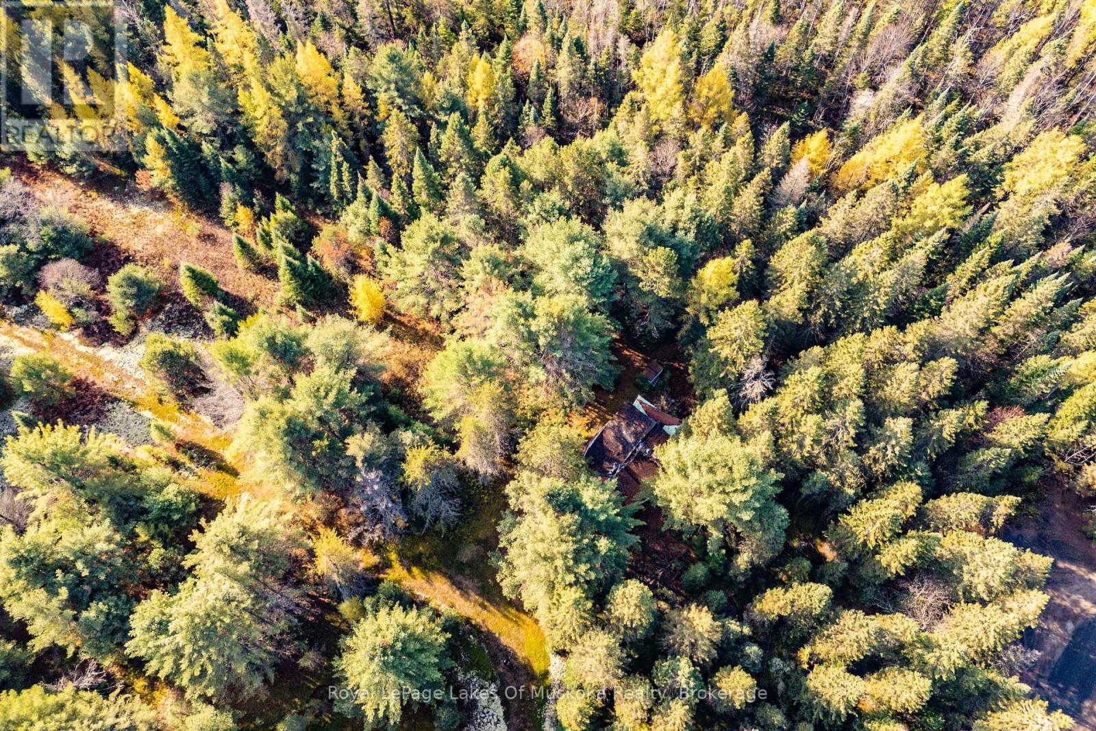 267 & 321 Cardwell Lake Road, Huntsville, Ontario P0B 1M0 - Photo 9 - X12717688