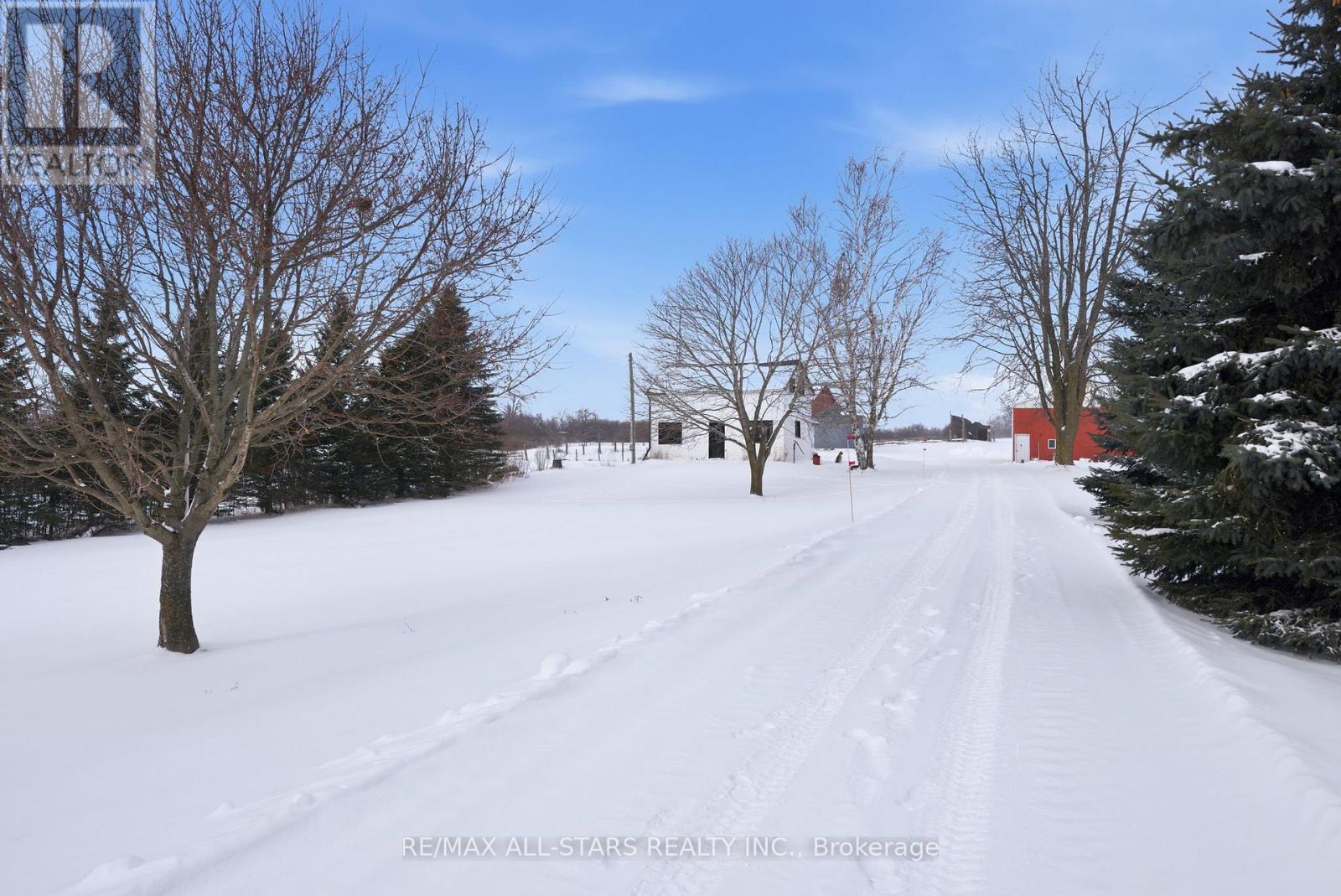 105 Peniel Road, Kawartha Lakes, Ontario  K0M 2T0 - Photo 6 - X12717690