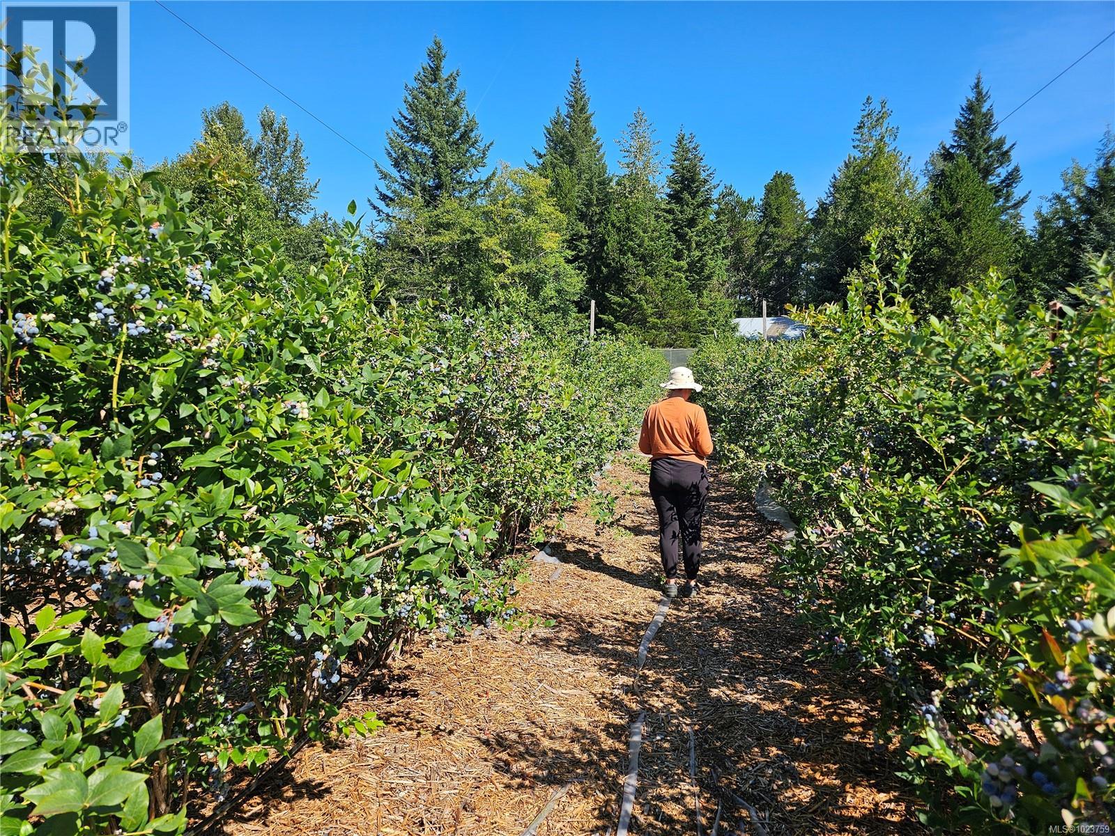 2156 Coleman Rd, Courtenay, British Columbia  V9J 1P2 - Photo 16 - 1023759