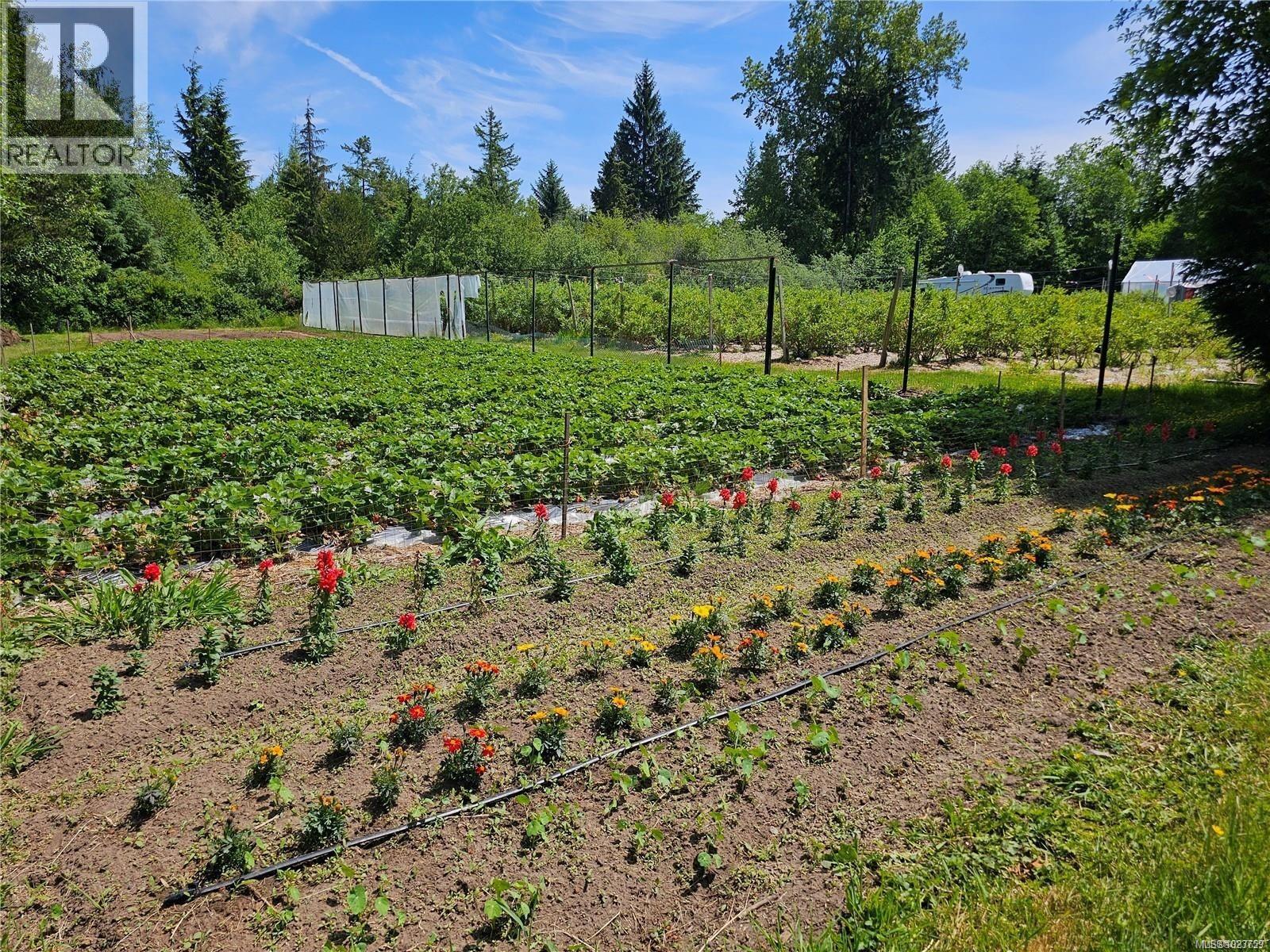 2156 Coleman Rd, Courtenay, British Columbia  V9J 1P2 - Photo 2 - 1023759