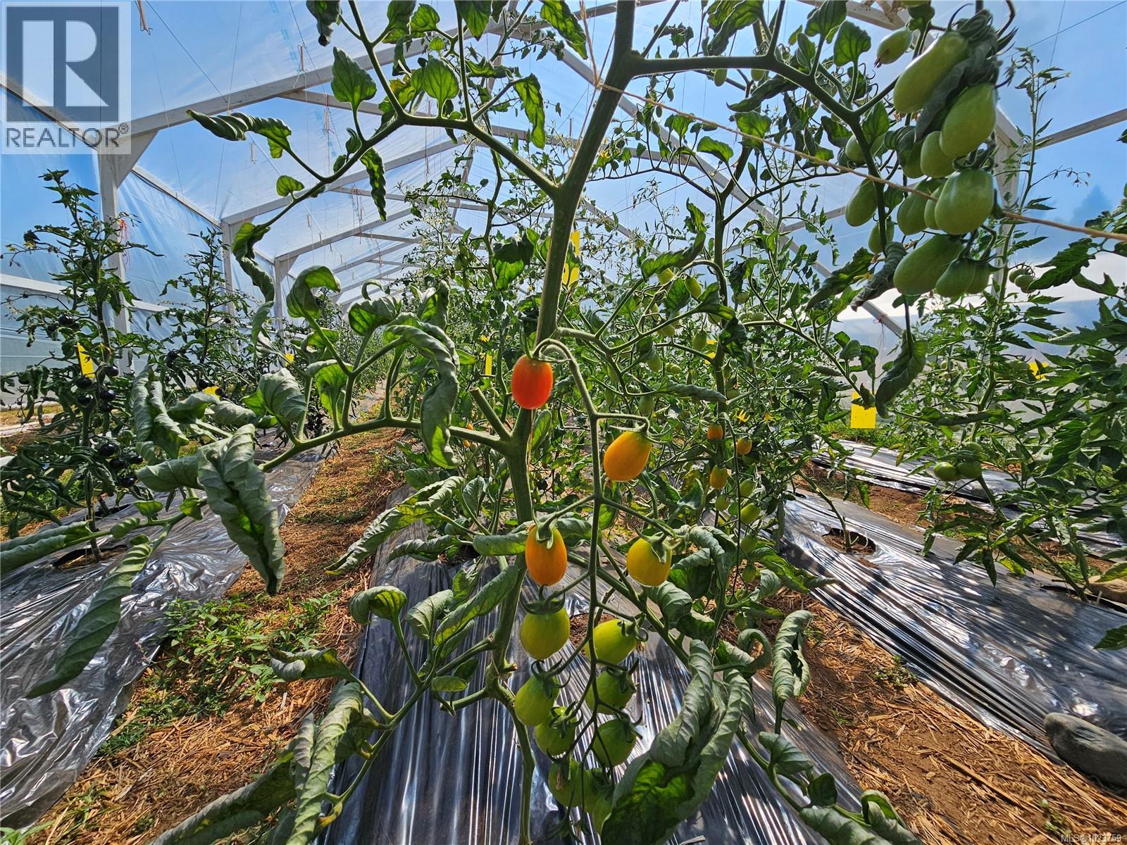 2156 Coleman Rd, Courtenay, British Columbia  V9J 1P2 - Photo 20 - 1023759