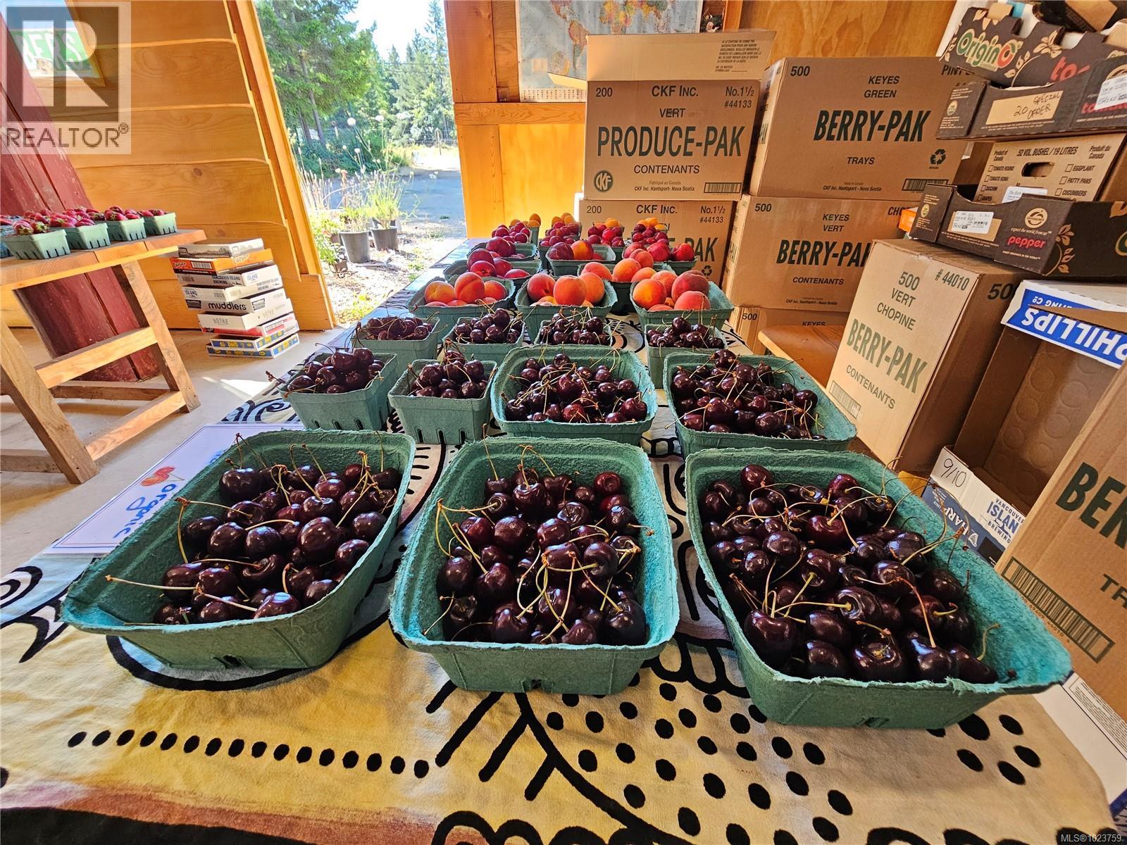 2156 Coleman Rd, Courtenay, British Columbia  V9J 1P2 - Photo 27 - 1023759