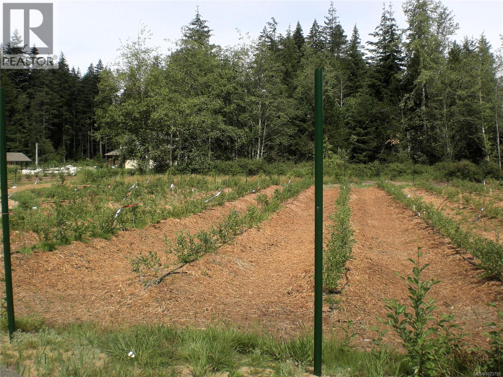 2156 Coleman Rd, Courtenay, British Columbia  V9J 1P2 - Photo 3 - 1023759